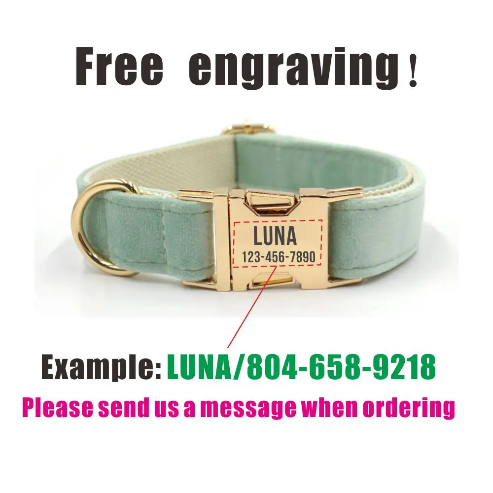 Collar de perro personalizado con grabado gratuito, hebilla de metal de contactos personalizados, collar de terciopelo grueso para mascotas - imagen 4