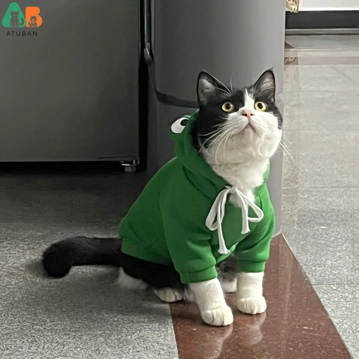 ATUBAN Sudadera con capucha para perro, suéter básico, abrigo, chaqueta cálida con forma de rana, ropa para clima frío para mascotas, ropa de abrigo para gatos, cachorros y perros