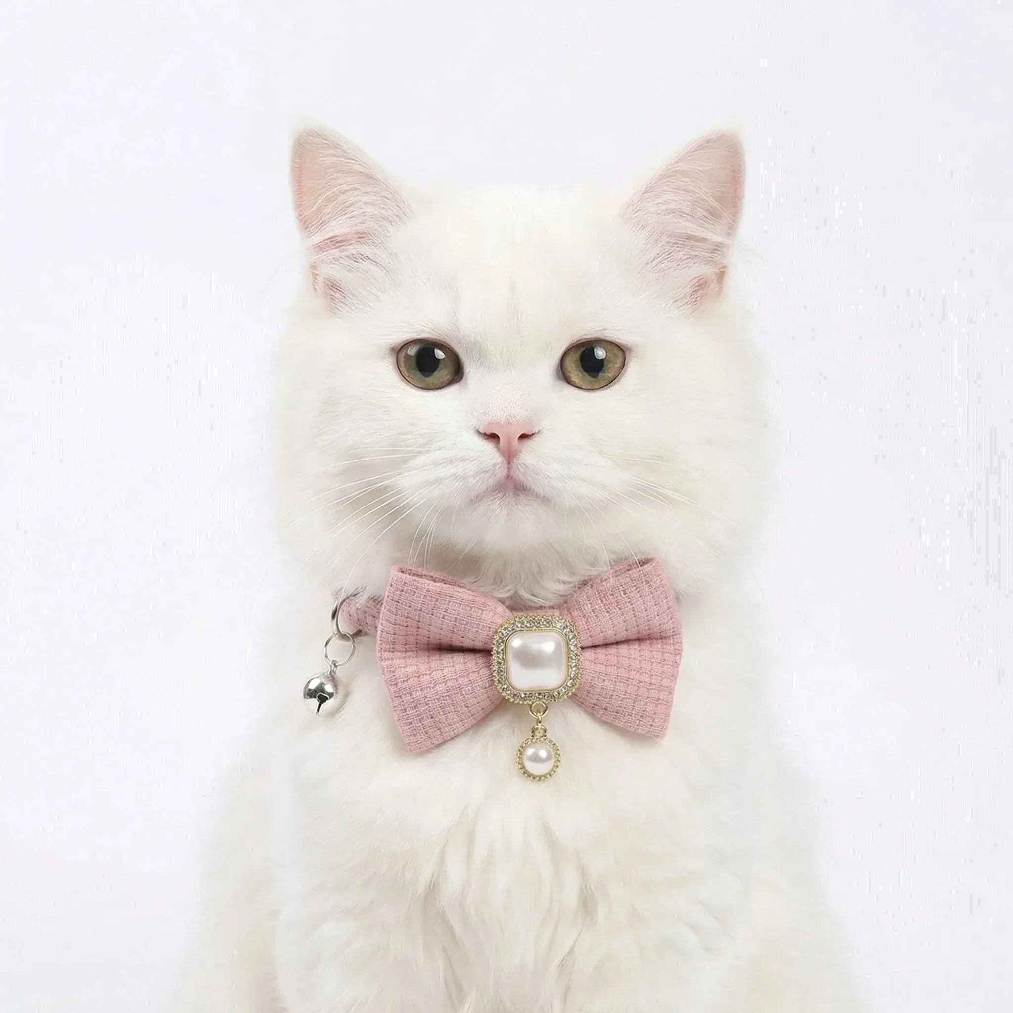 Collar de lazo ajustable para gatos y cachorros Chihuahua - imagen 5