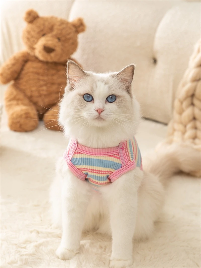 Ropa a rayas de oso de dibujos animados para perros, ropa acogedora para Bulldog Francés, ropa de verano para mascotas, Polo, camiseta, chaleco para gatos de alta elasticidad - imagen 2