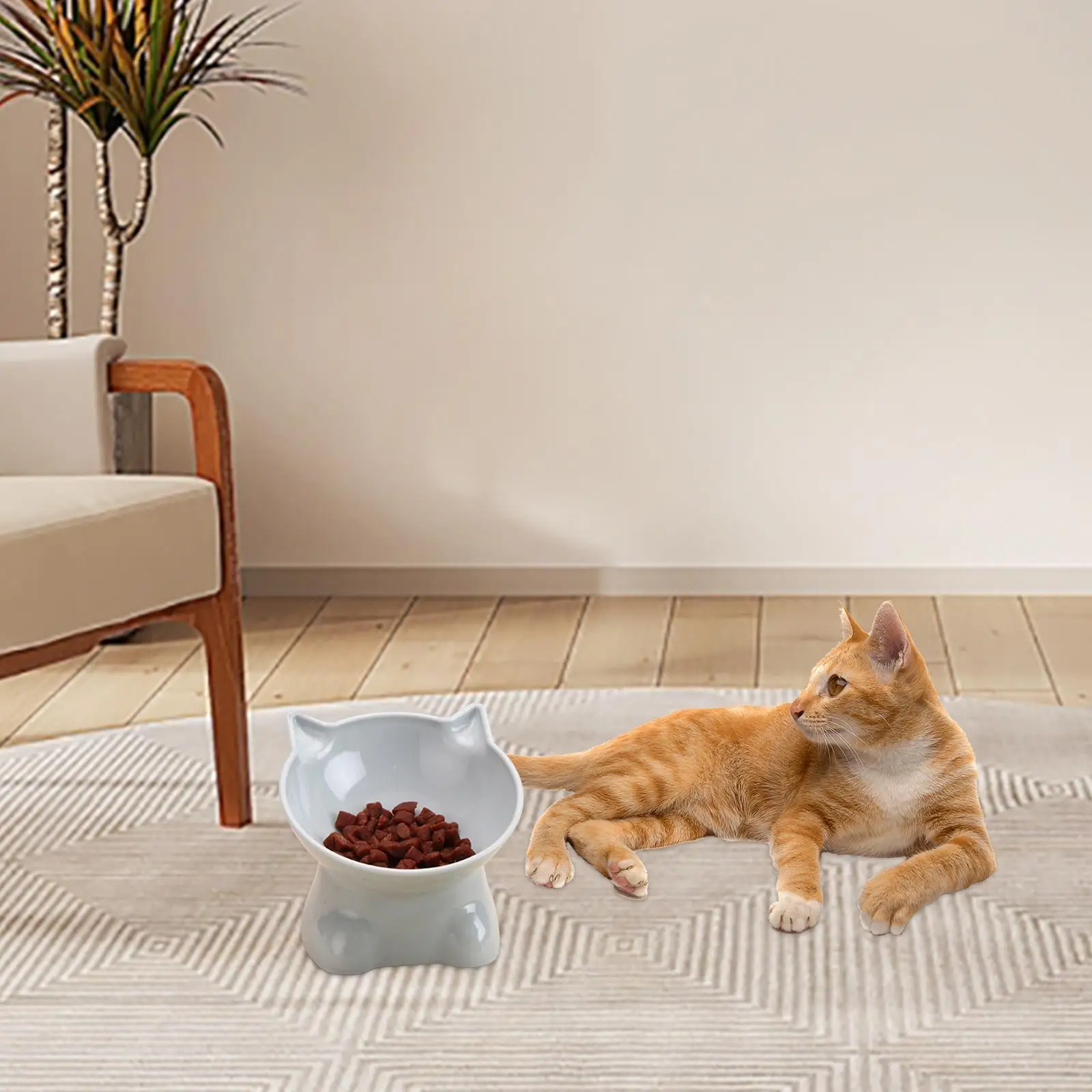 Raised Cat Bowl, Tilted Pet Feeder, Neck Protection Non Slip