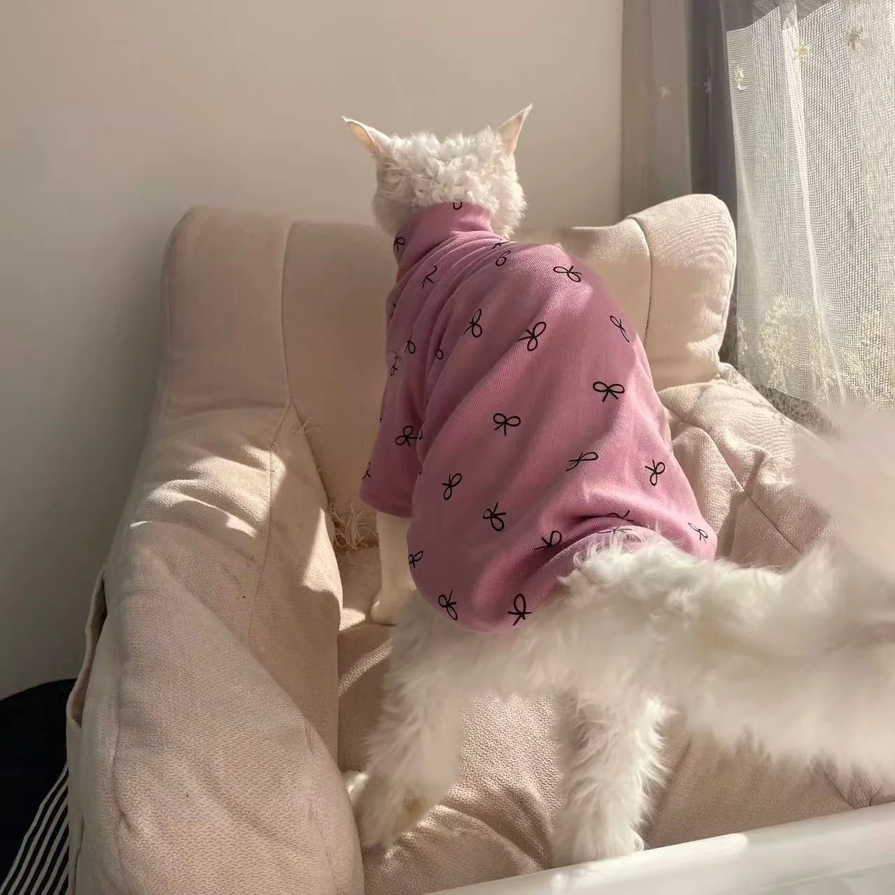 Camiseta algodón rosa para gato Esfinge y Devon Rex – Primavera otoño - imagen 4