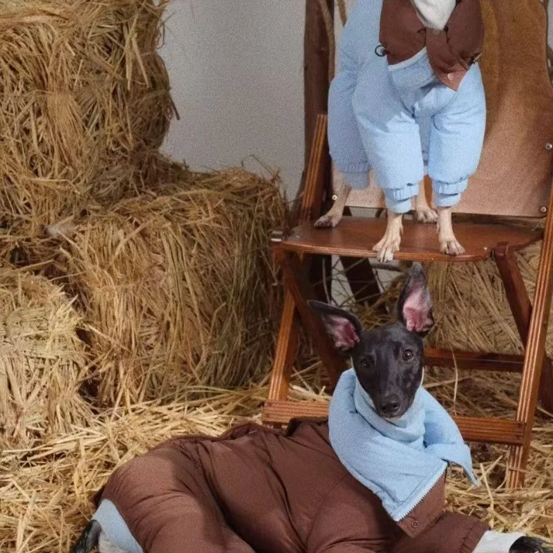 Chaqueta reversible para perros – Cuello alto, abrigada y resistente al viento - imagen 3