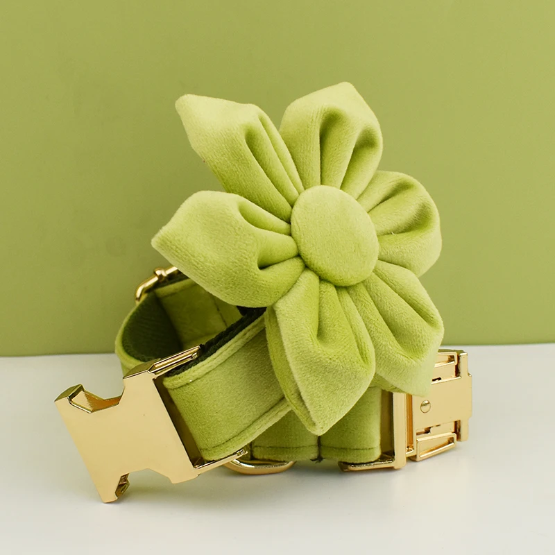 Juego de Collar y correa de terciopelo con aguacate para perro, placa de identificación grabada personalizada, suministros para mascotas, Velvet37 - imagen 5