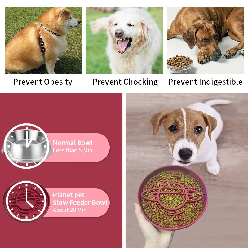 Cuenco de comida lenta para perros, plato para lamer de silicona, ayuda saludable, redondo, antiasfixia, cuenco de comida para mascotas engrosado, productos de entrenamiento para comederos para mascotas - imagen 2