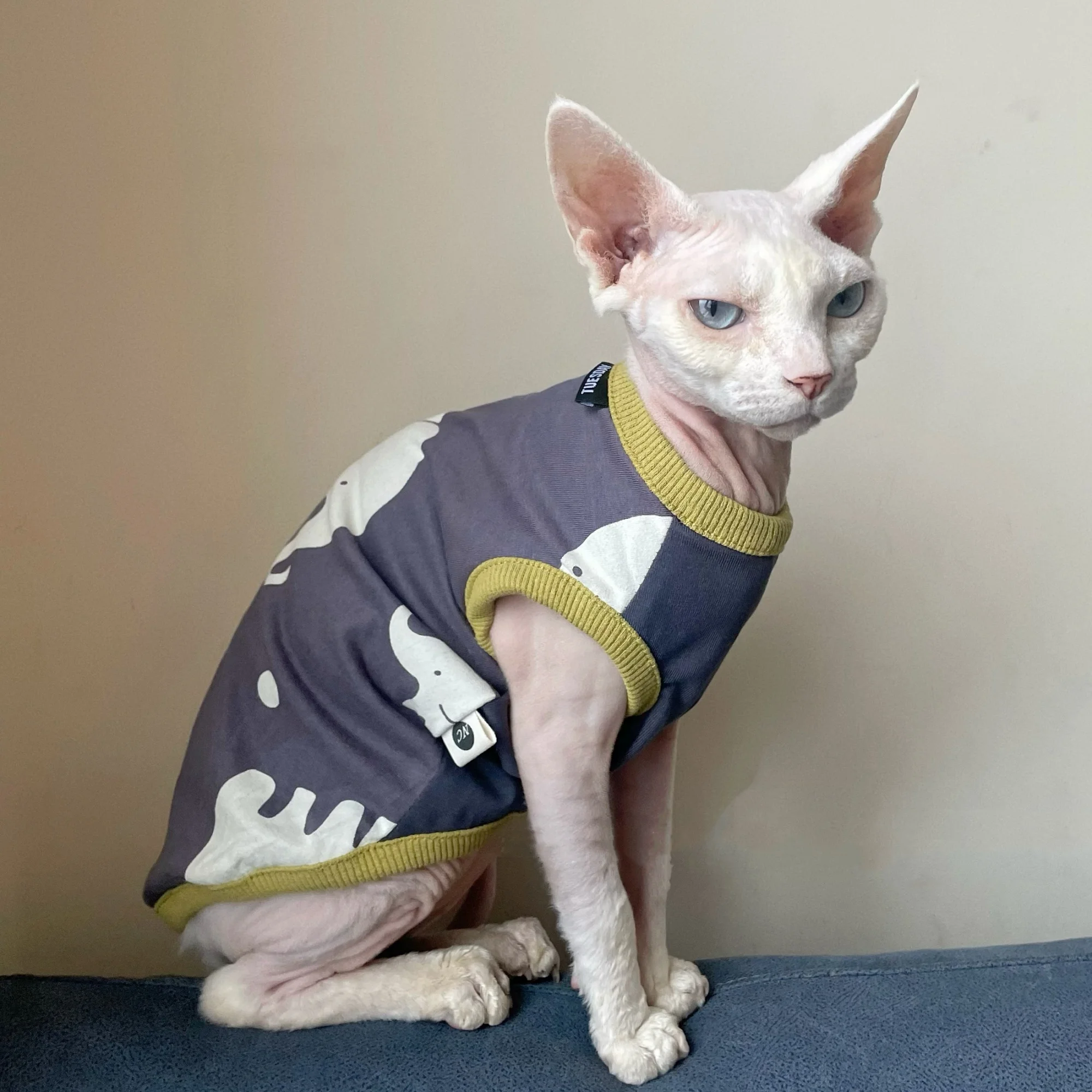 Linda camiseta gris con estampado de elefante para gato sin pelo en primavera Cartton Chaleco de dibujos animados para esfinge en disfraces de gatitos de verano - imagen 2