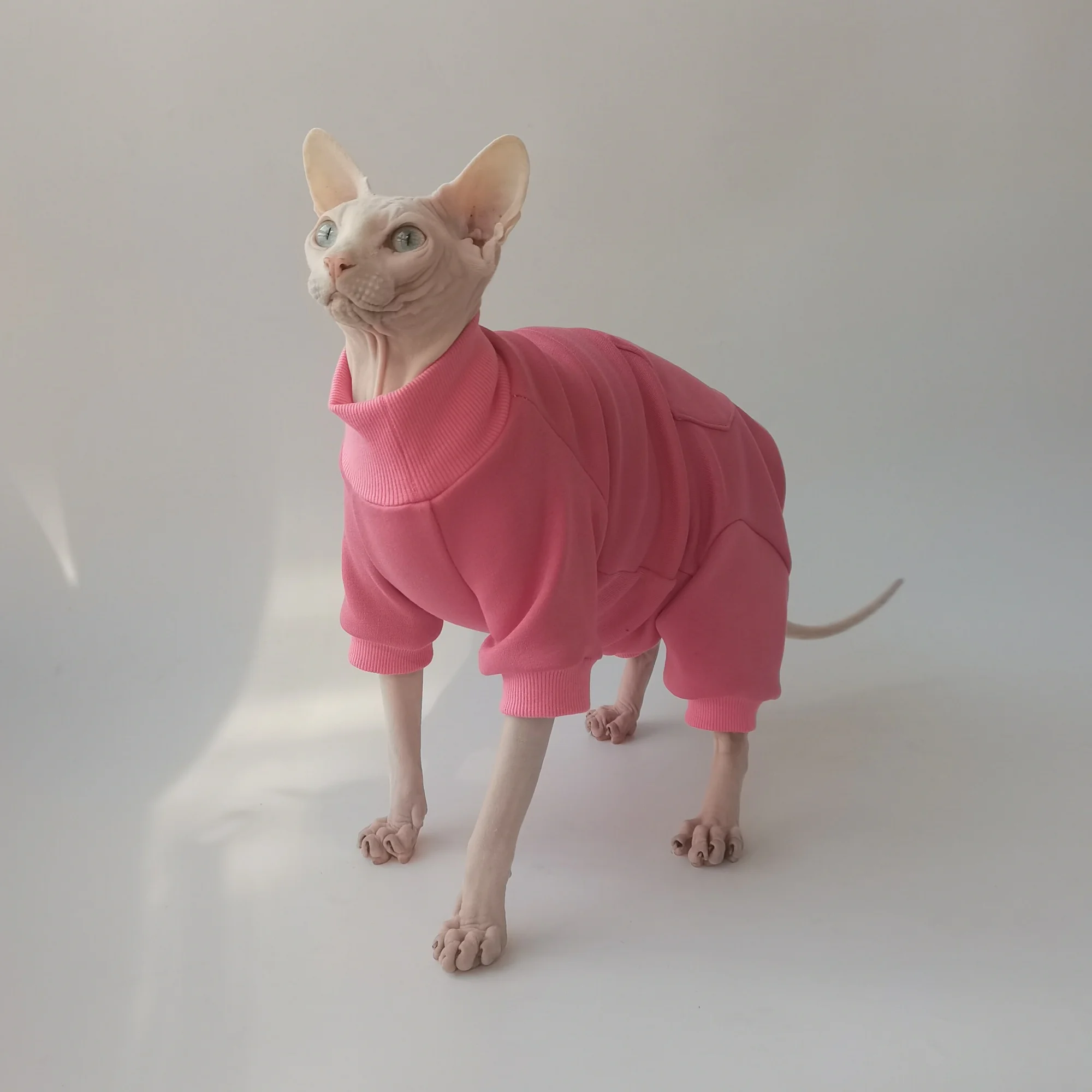 Chaqueta de lana para gato sin pelo, abrigo de invierno para Sphynx y Devon Rex - imagen 2