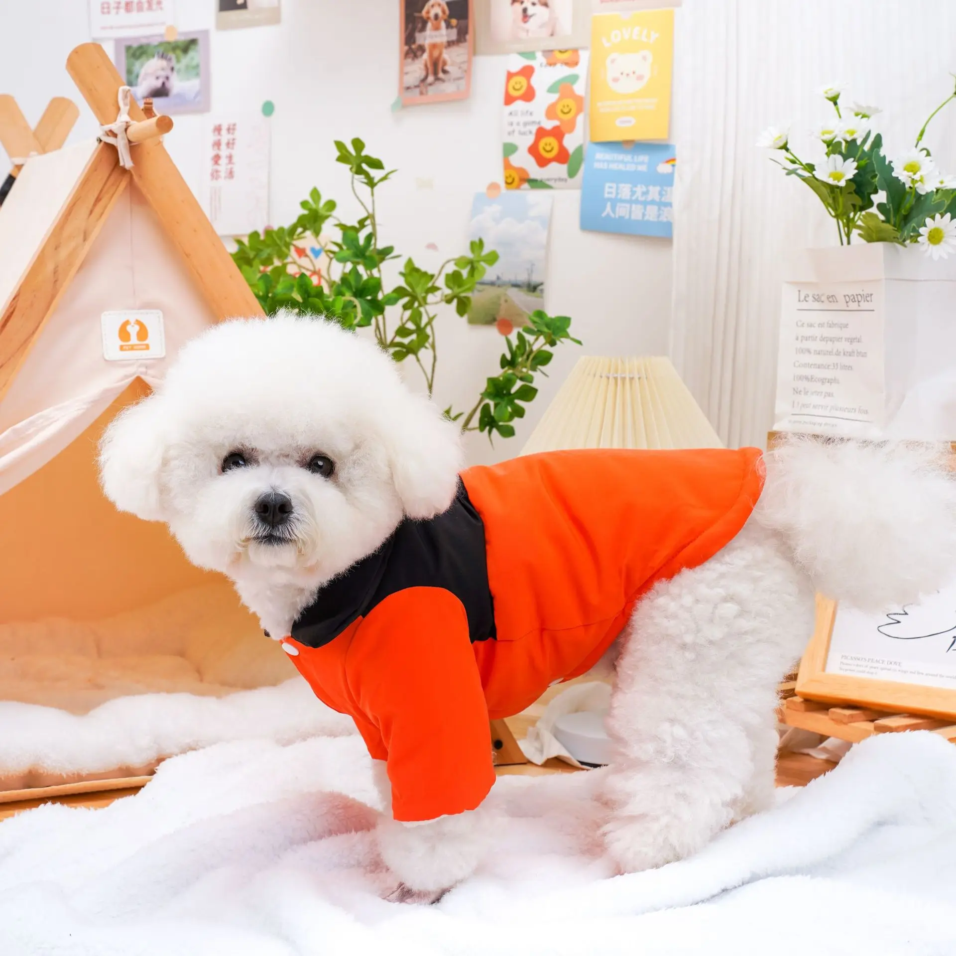 Abrigo de cuello alto para mascotas, Parkas para cachorros y gatos, piernas empalmadas, ropa de algodón de cuatro colores, osos de peluche, perros pequeños, Otoño e Invierno - imagen 2