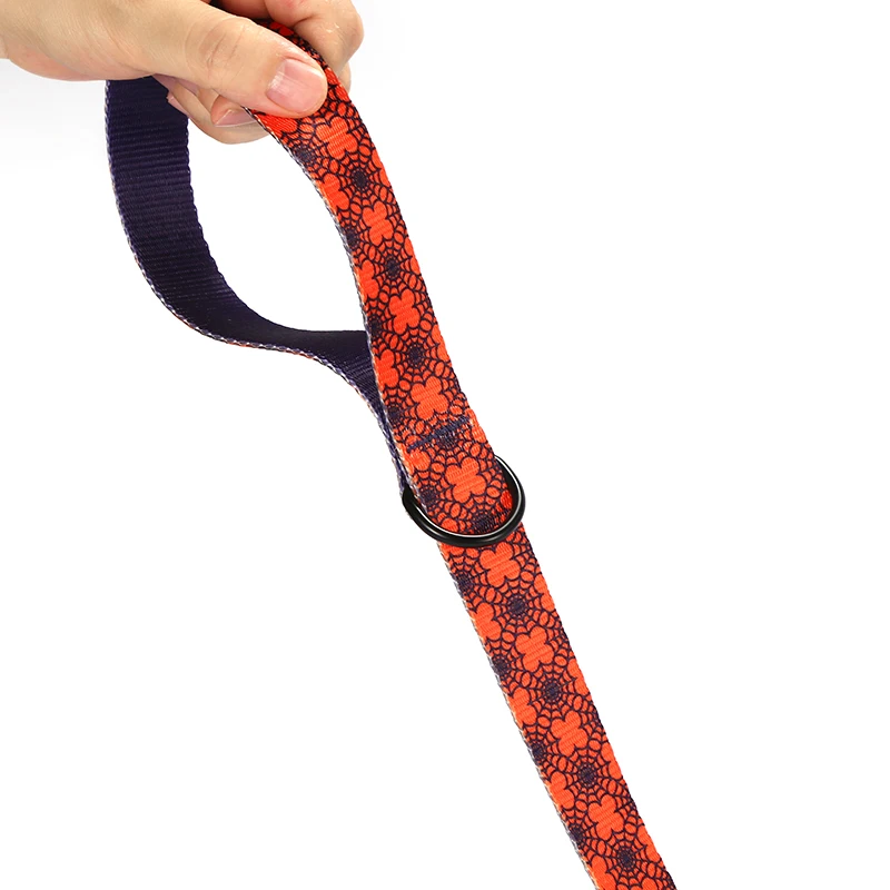 PLATTCO correa de perro de nailon de imitación personalizada SPIDER WEB correa de perro pequeña mediana grande 5 tamaños PDL336 - imagen 4