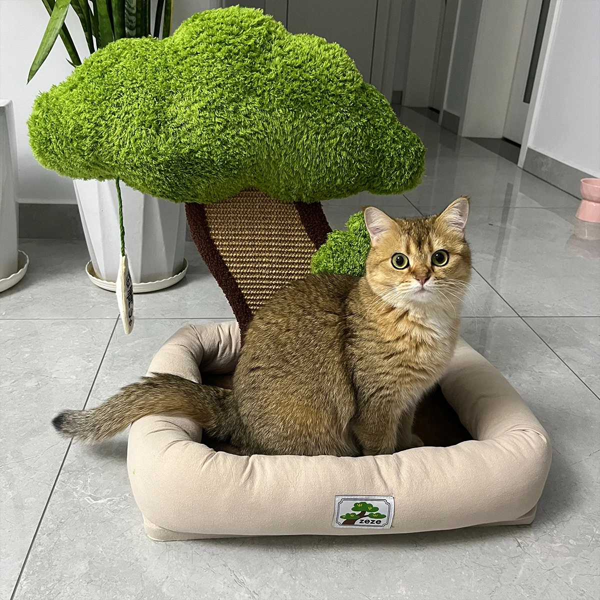 Cama para gatos con rascador para gatos, diseño de arena para gatos de estilo único, cama grande para gatos con poste rascador, cama de diseño minimalista - imagen 3