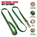 Green Leash