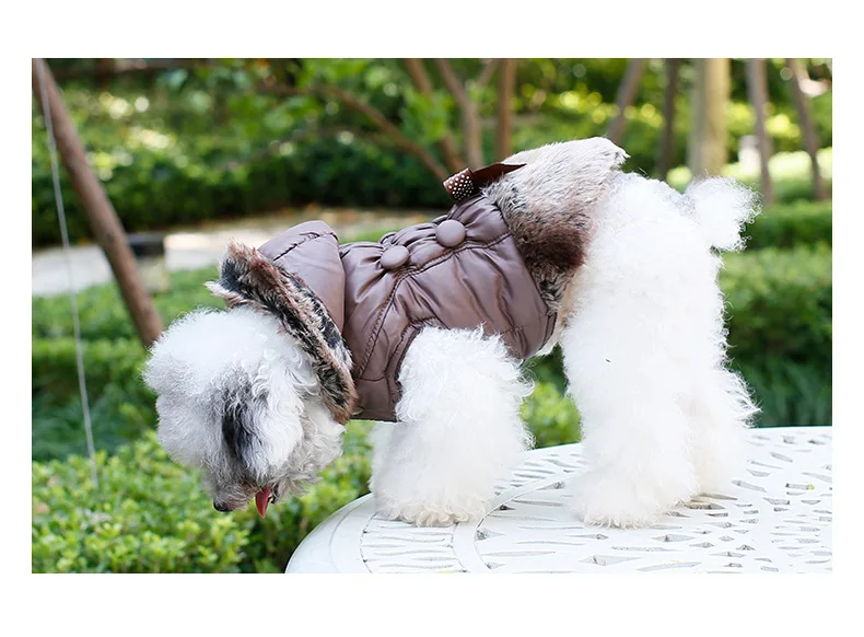 Ropa para perros, Otoño Invierno, ropa para mascotas, sudaderas con capucha, abrigo de piel, chaqueta para perros, XS-3XL para cachorros, ropa gruesa y cálida para perros, productos con capucha para mascotas - imagen 4