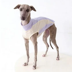 Chaleco transpirable secado rápido para Galgo Italiano y Whippet