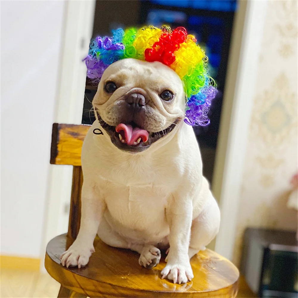 Divertido sombrero de peluca para mascotas para perros pequeños, gatos, Bulldog Francés, Chihuahua, accesorios para el cabello para cachorros, suministros para mascotas, accesorios para perros - imagen 5