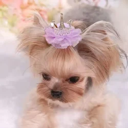 Corona de princesa encaje para perro y gato – Pinza pelo mascota