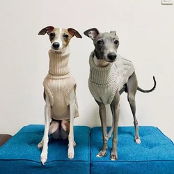Suéter de cuello alto para galgos y perros finos – Lana suave