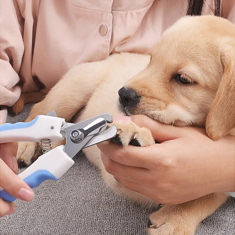 Cortaúñas para mascotas, tijeras para perros y gatos, cortaúñas para dedos de los pies, tijeras, herramientas de aseo para animales, suministros para mascotas - imagen 2