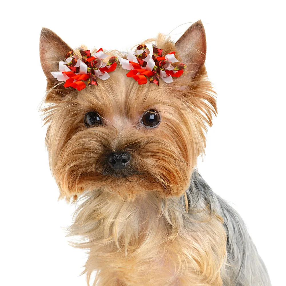 Lazos de aseo para perros pequeños y gatos, gomas para el pelo de Acción de Gracias, accesorios para el cabello, 50 piezas - imagen 2