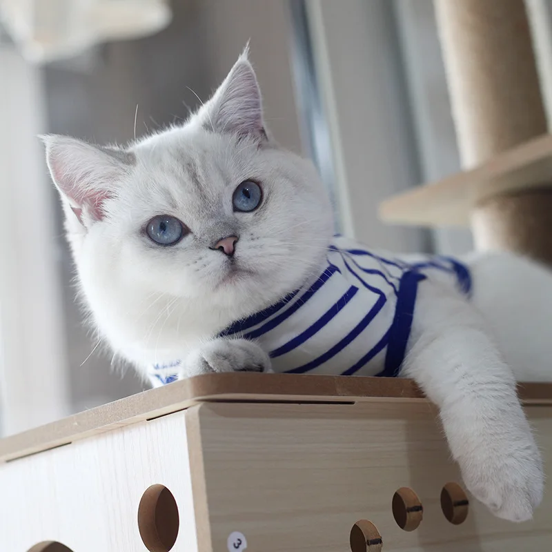 Ropa de verano para cachorros y gatos, chaleco sin mangas clásico a rayas para mascotas, jersey para perros pequeños, gatos y gatitos, ropa para perros - imagen 5