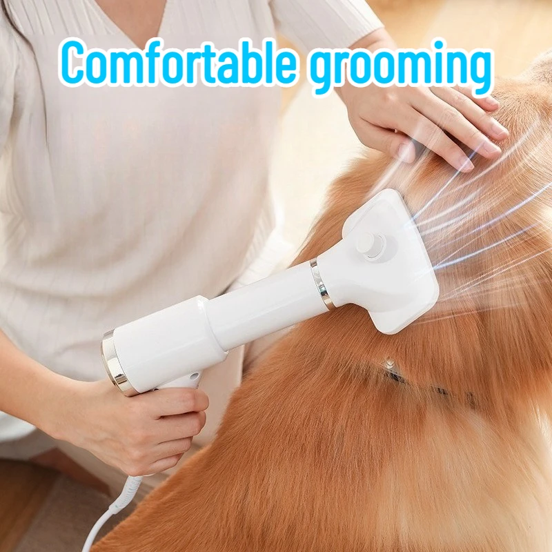 Secador de pelo 2 en 1 para perros y gatos, temperatura ajustable