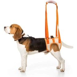 Eslinga de elevación perros rehabilitación cadera y piernas ajustable