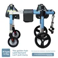 XL four wheels blue
