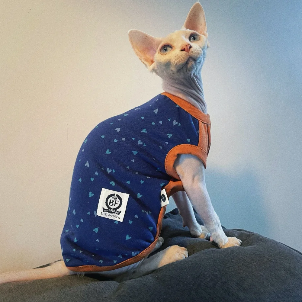 Sudadera azul naranja de moda de primavera para gatos masculinos Camiseta sin mangas de dibujos animados de algodón para Devon Rex Chaleco de verano para gato Sphynx - imagen 2