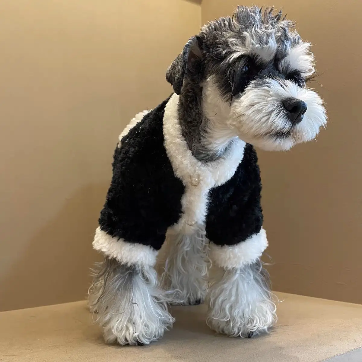 Ropa cálida para perros y gatos, abrigo grueso de cordero Schnauzer Bichon, abrigo cálido, ropa para perros, productos para mascotas, otoño e invierno - imagen 3