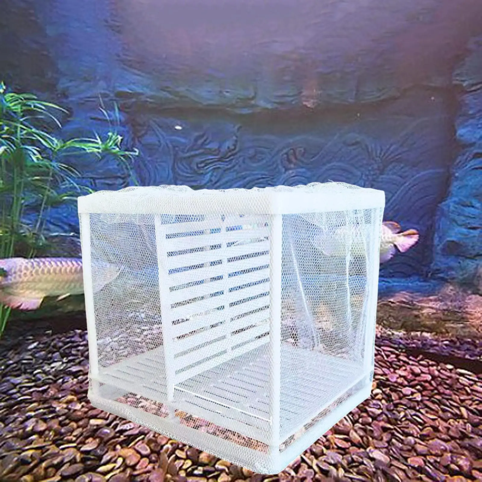 Fishes Tank Separation Box Baby Fishes Hatchery Large Capacity W/ Suction Cups Separation Net Aquarium Accessories for Home Use Fishes Tank Separation Box Baby Fishes Hatchery Large Capacity W/ Suction Cups Separation Net Aquarium Accessories for Home Use