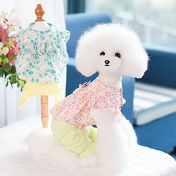 Vestido algodón elástico para perros y gatos con falda de encaje