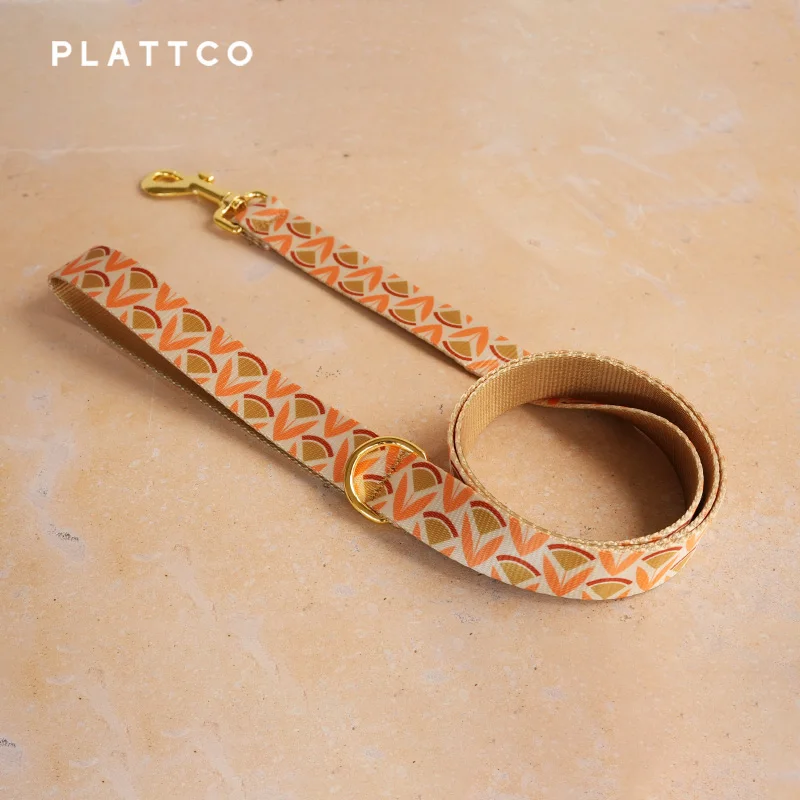 PLATTCO conjunto de perro de diseño único estampado patrón de Iris dorado y hebilla dorada de alta calidad 5 tamaños PDC352YG&PDL352YG&PBT151 - imagen 4