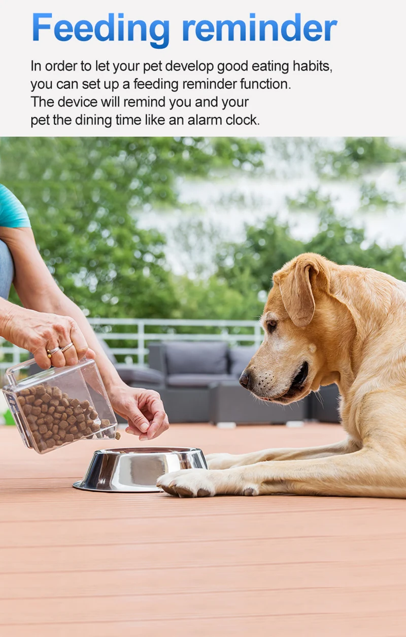 Una persona está alimentando a un perro del tazón