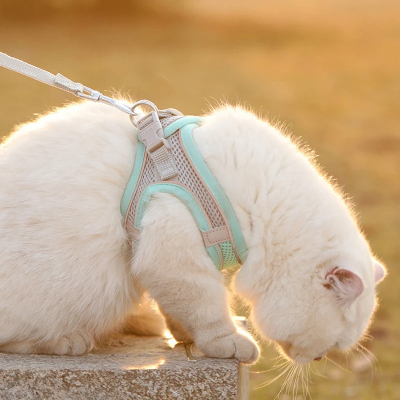 Conjunto de arnés para perros pequeños, correa de malla suave ajustable y transpirable, chaleco con cinturón para gatos, cachorros y perros pequeños - imagen 2