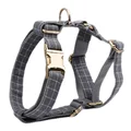 Harness