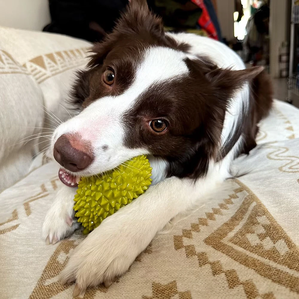 Juguete chirriante de frutas simuladas para mascotas, juguete resistente a las mordeduras para perros pequeños y medianos, accesorios de juego para masticar, 2/3 piezas - imagen 5