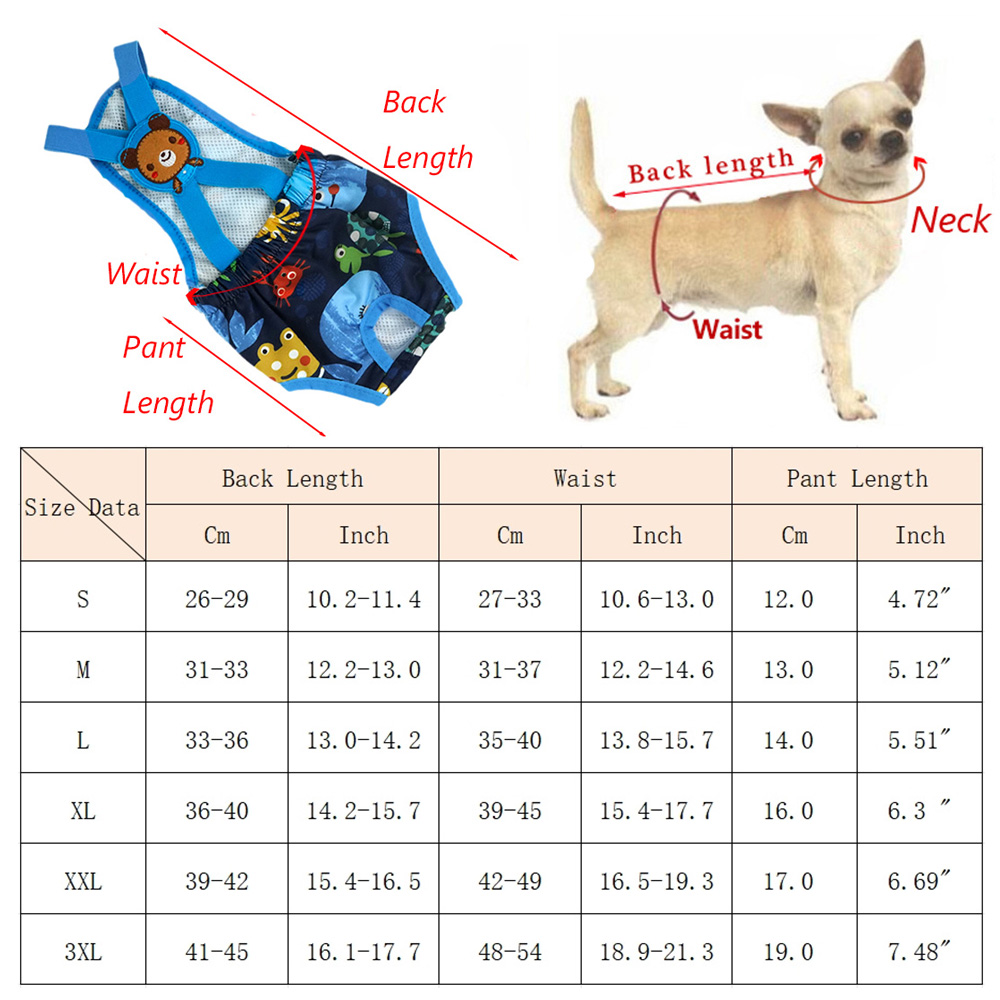 Ropa interior - Sistema de ropa