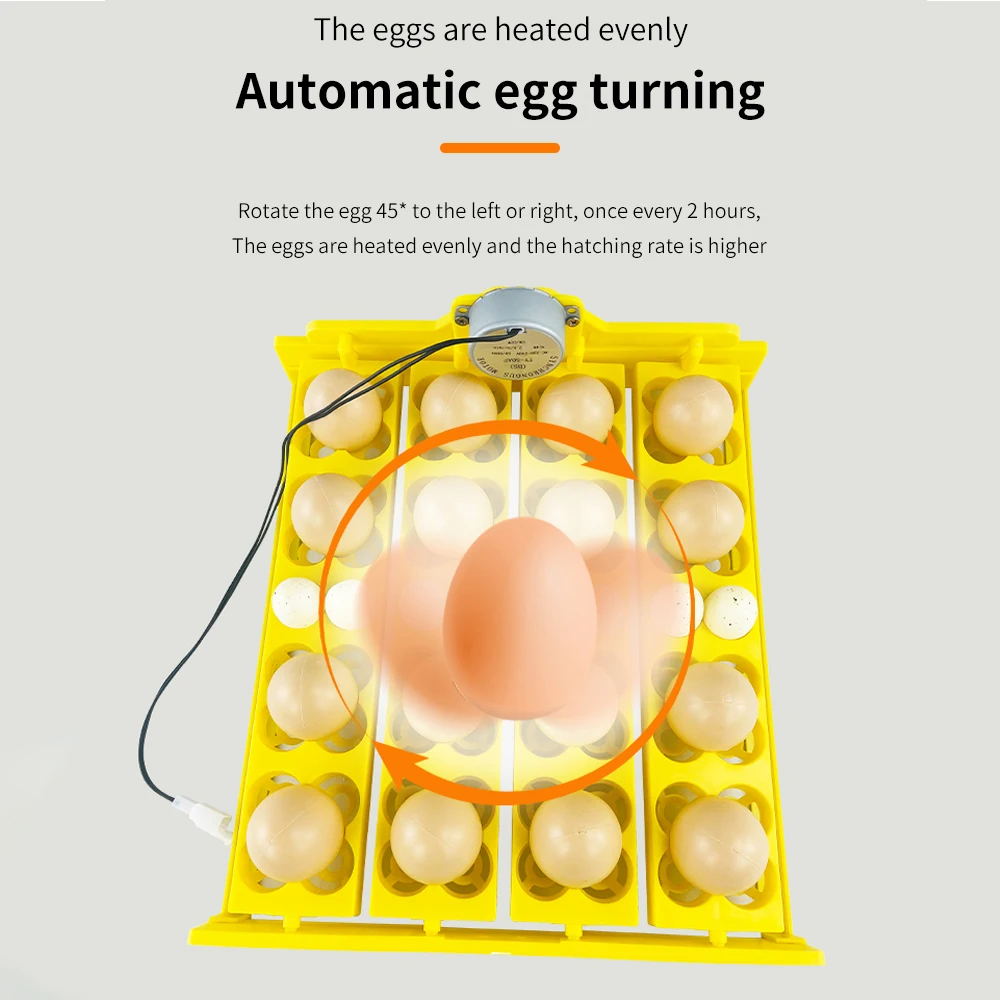 Incubadora de huevos de 16/24 grados, giro automático de huevos AC220V, bandeja para huevos, incubadora de huevos, herramienta de incubación de granja para pollos, pájaros, codorniz - imagen 4