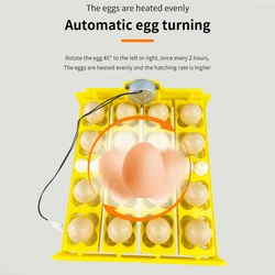 Incubadora con volteo automático para pollos, aves y codornices