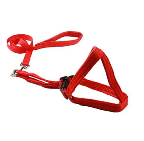 Correa de nailon de doble capa para gato, perro, cachorro, con arnés, juego de plomo para mascotas, arnés de correa para perro, arnés suave acolchado para perro - imagen 3