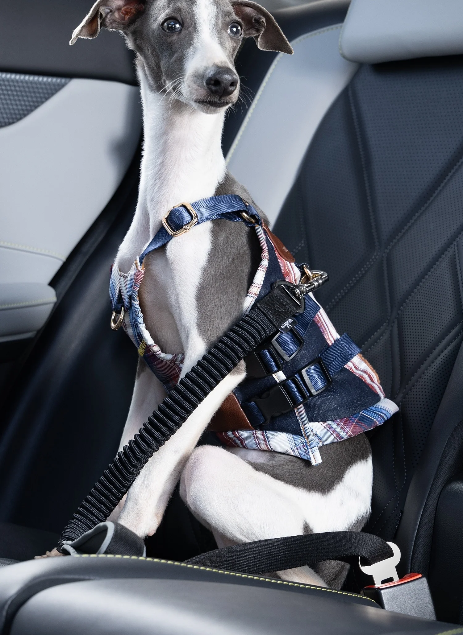 Cinturón de seguridad de coche para mascotas 2 en 1, correa para perros, se fija al arnés y el Collar, arnés de seguridad elástico ajustable para asiento de coche para perros - imagen 2