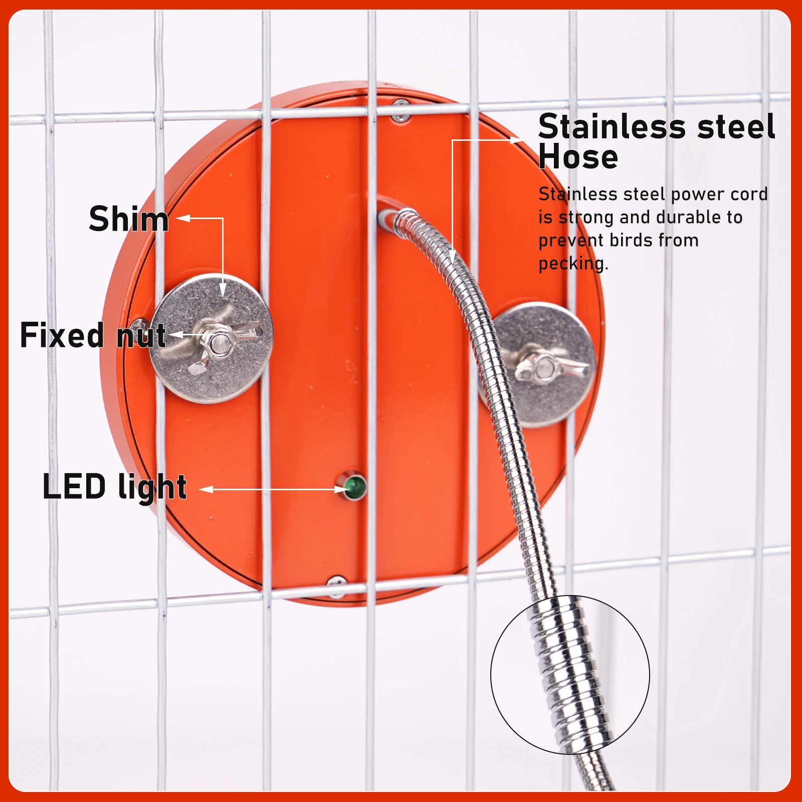 Calentador de pájaros para loros, placa termostática, espejo seguro para jaula de pájaros, hámsteres, nuevo - imagen 3
