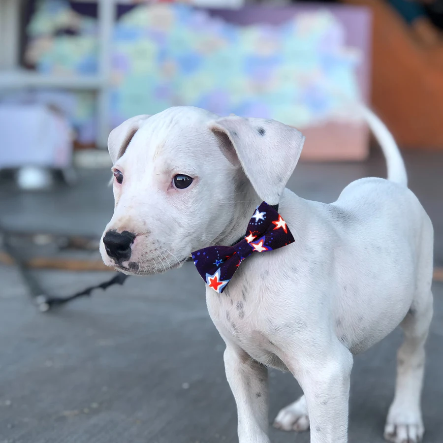 50/100ps American Independence Day Dog Accessories Dog Collar Bow Tie Slidable Dog Collar Accessories Pet Supplies For 4th July - imagen 2