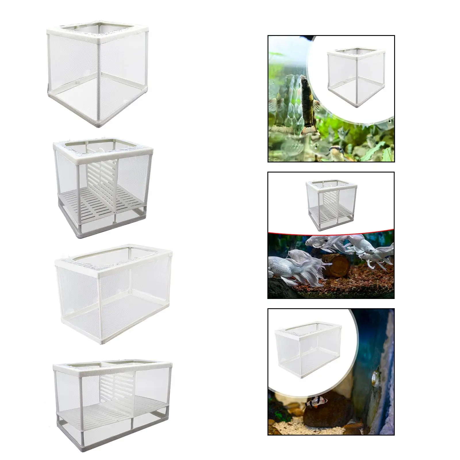 Fish Tank Isolation Net Fish Isolation Box Fish Feeding Container Breeding Isolation Net