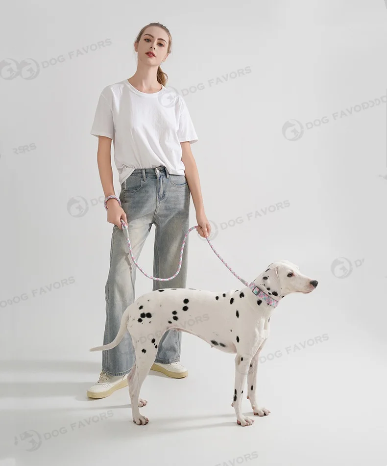 Collar de perro con patrones ajustables, conjunto de correa para perros al aire libre, correa colorida para caminar, Collar de nailon para mascotas para perros pequeños, medianos y grandes - imagen 4