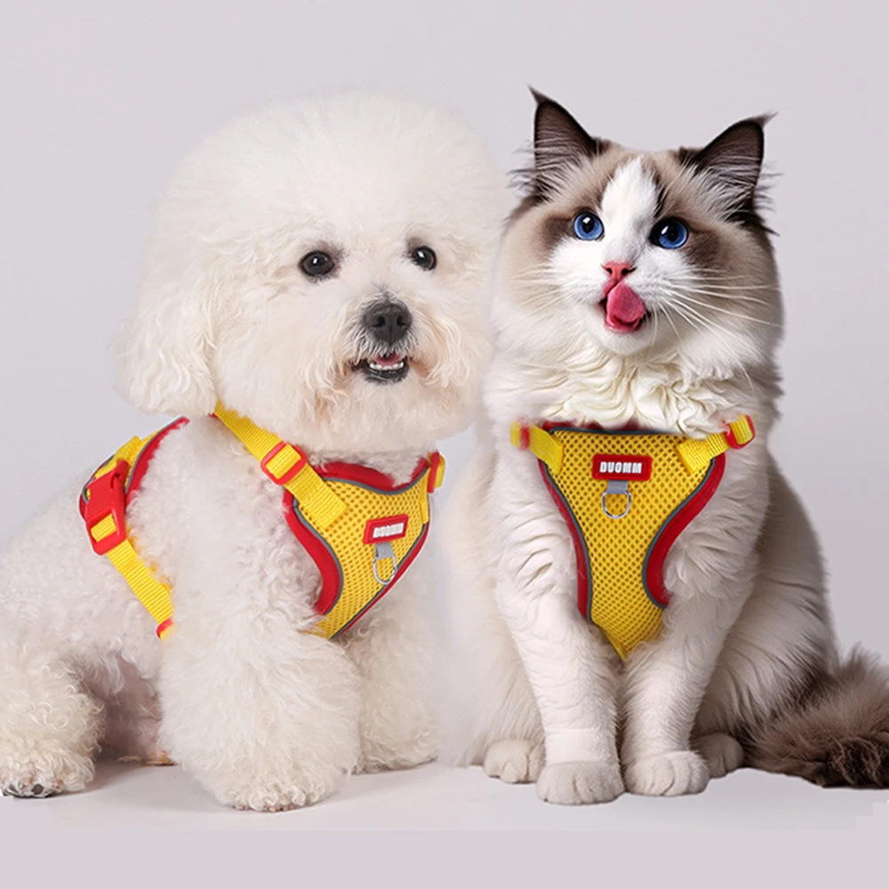 Conjunto de arnés y correa de chaleco para perros y gatos, petos de malla transpirables para perros pequeños, accesorios para mascotas Sphynx, verano - imagen 4