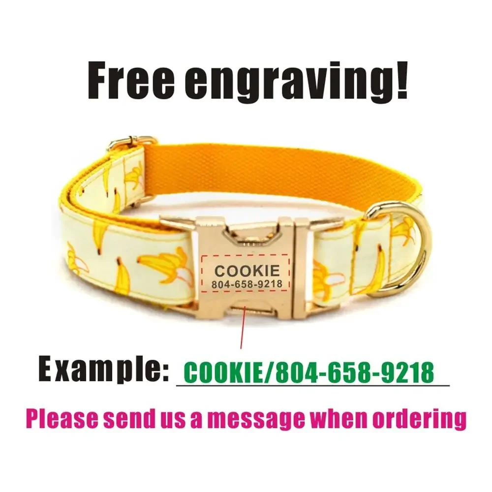 ปลอกคอสุนัขกล้วยสำหรับสัตว์เลี้ยงป้าย ID สำหรับลูกสุนัขแมวปรับชื่อได้สายจูงสุนัขสีส้มแบบพื้นฐาน - imagen 4