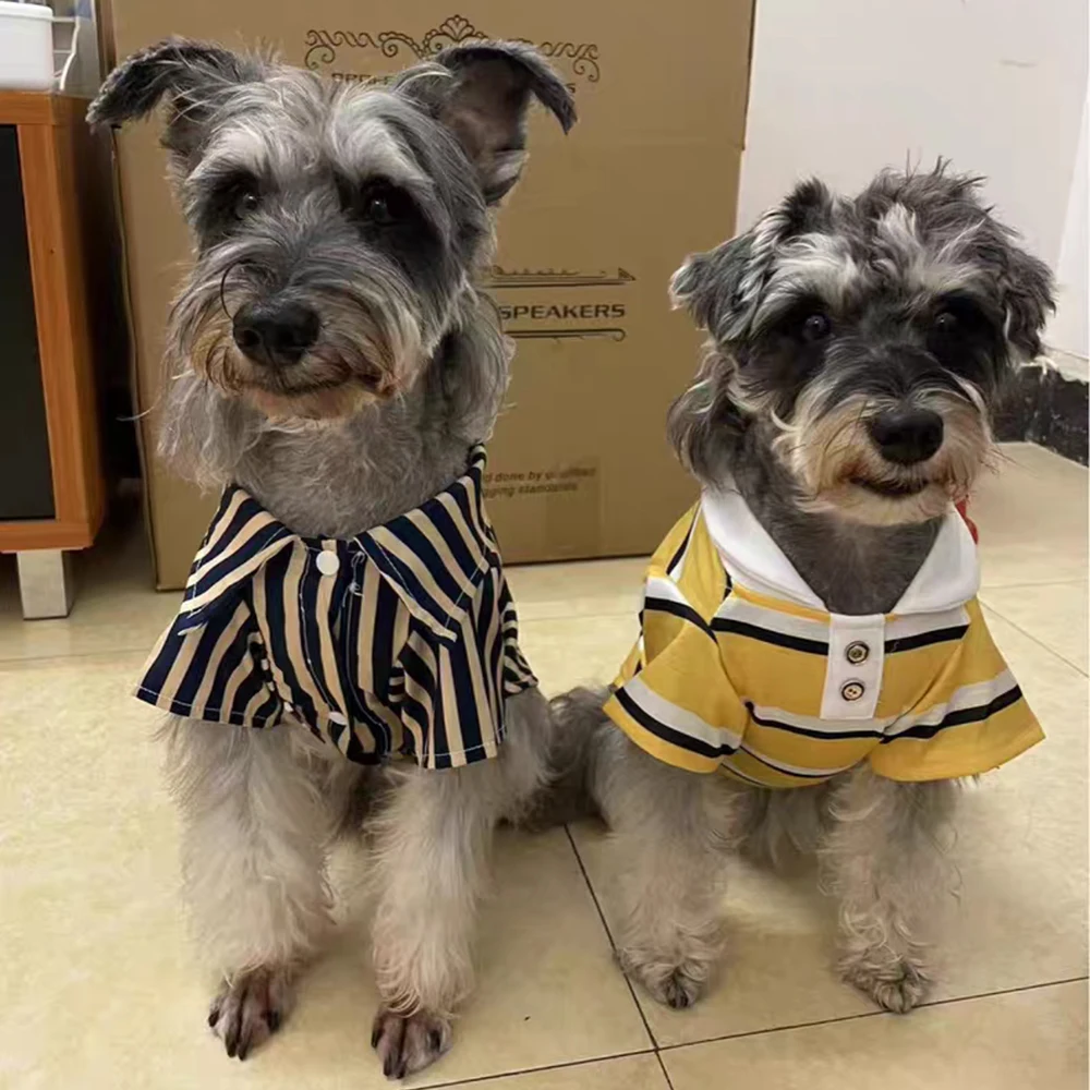 Polo de rayas clásicas para mascotas, ropa para perros y gatos pequeños, Schnauzer, Yorkshire, cachorro, primavera y verano - imagen 3