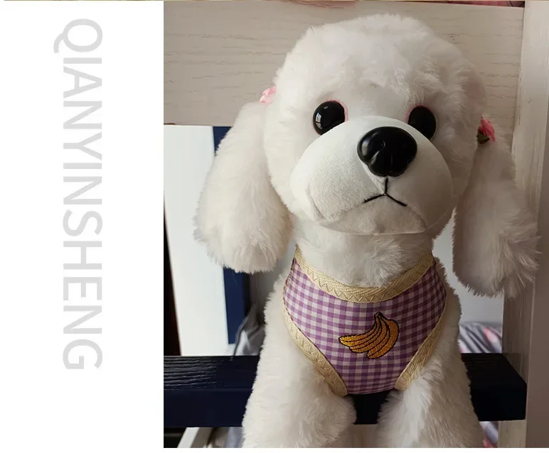 Cuerda de tracción para perros, cuerda para caminar para perros, cadena para perros pequeños, chaleco para gatos y mascotas, conjunto de Collar con correa para el pecho, arnés y correa para perros, bolsa para perros y cachorros - imagen 4