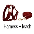 harness leash