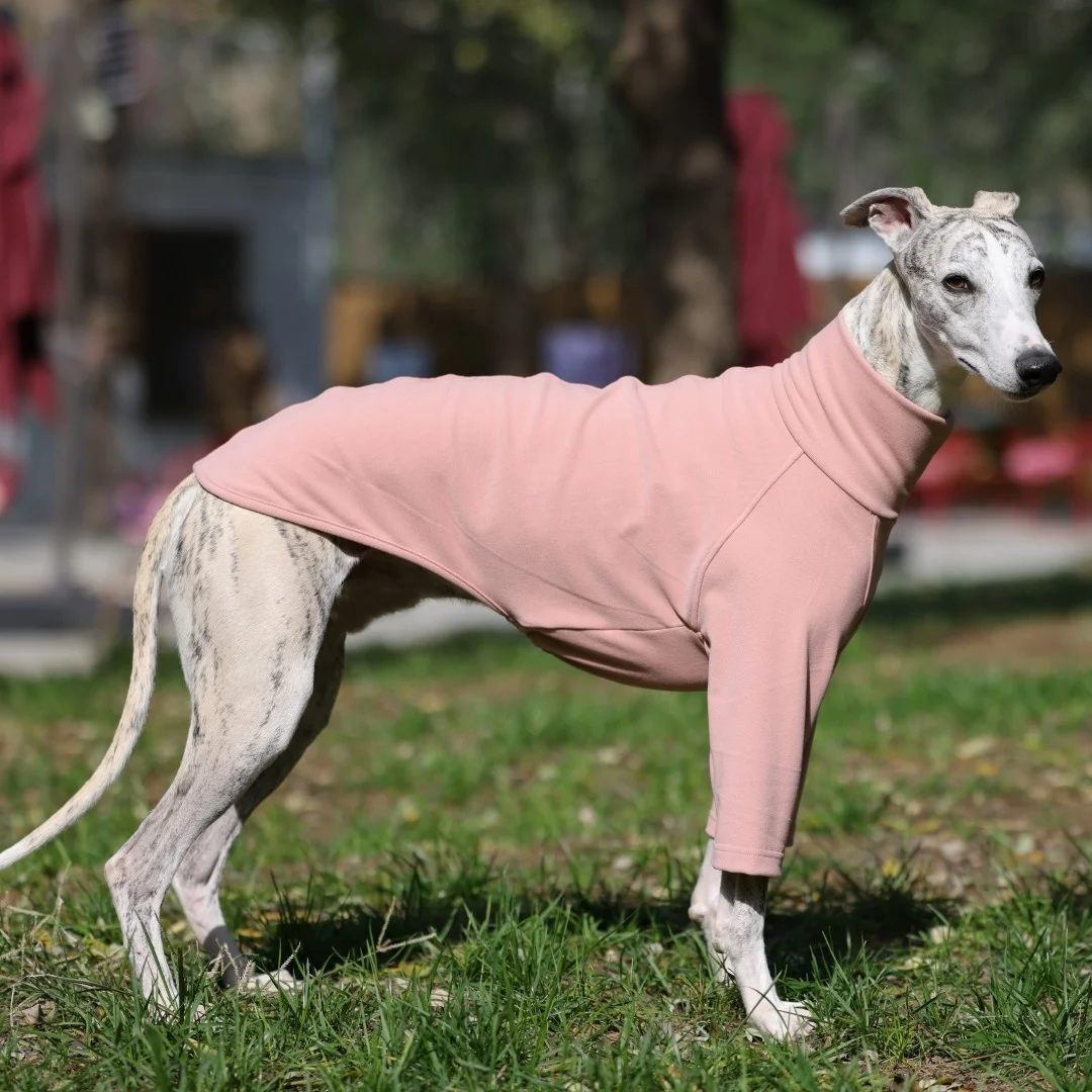 Camiseta rosa suave para perros, sudadera morada para galgo italiano, Top caqui de manga larga para pijama de invierno Whippet para Whippet - imagen 4